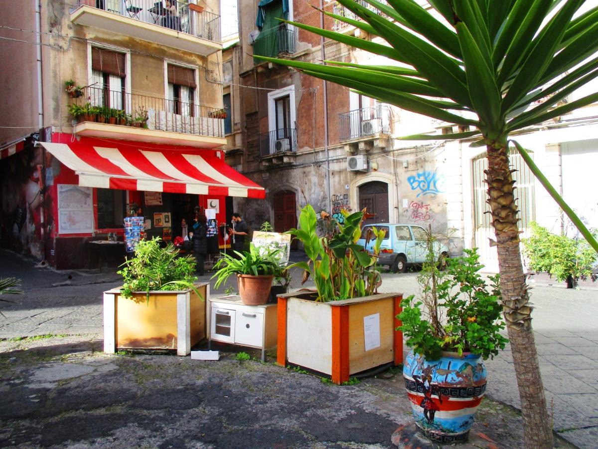 Bed & Breakfast Diletta Oasi *
