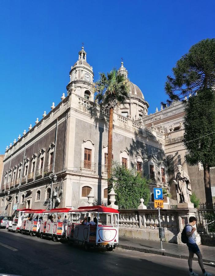 Diletta Oasi * Catania