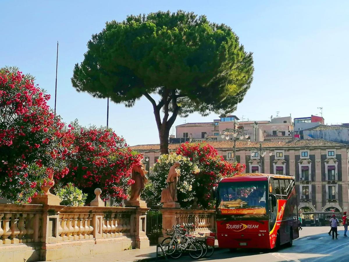 Diletta Oasi Catania