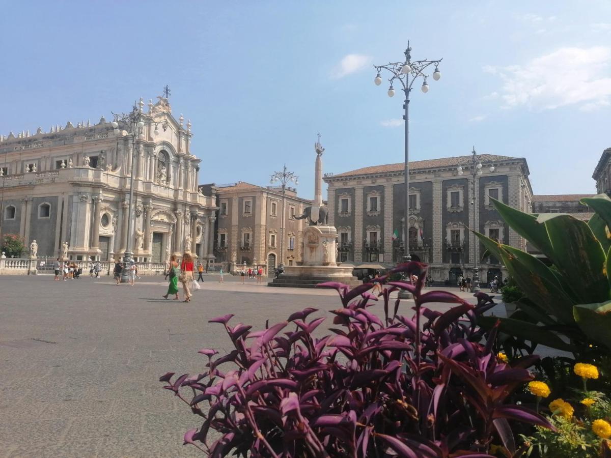 Diletta Oasi Catania