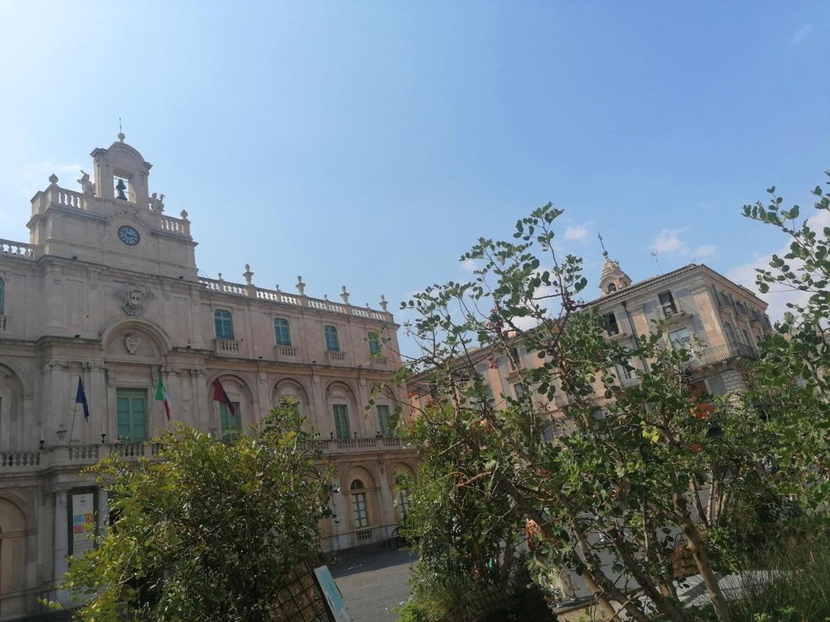 Diletta Oasi * Catania